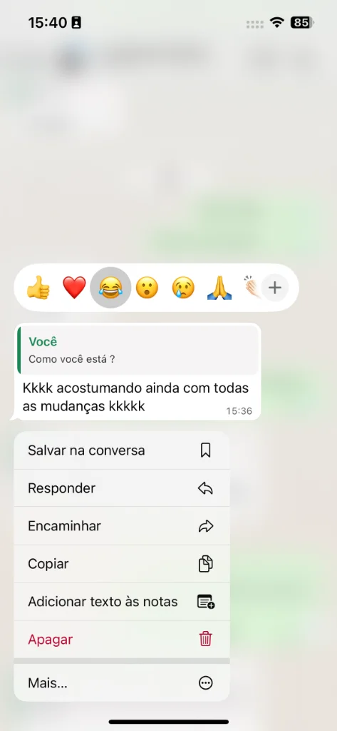 Depoimento WhatsApp 3